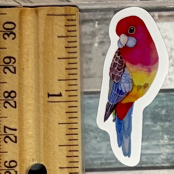 ๐10/$10๐ Colorful Watercolor Bird Reusable Waterproof Vinyl Sticker Decal - Picture 1 of 1